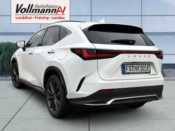 NX 450h  E-FOUR F SPORT-Paket