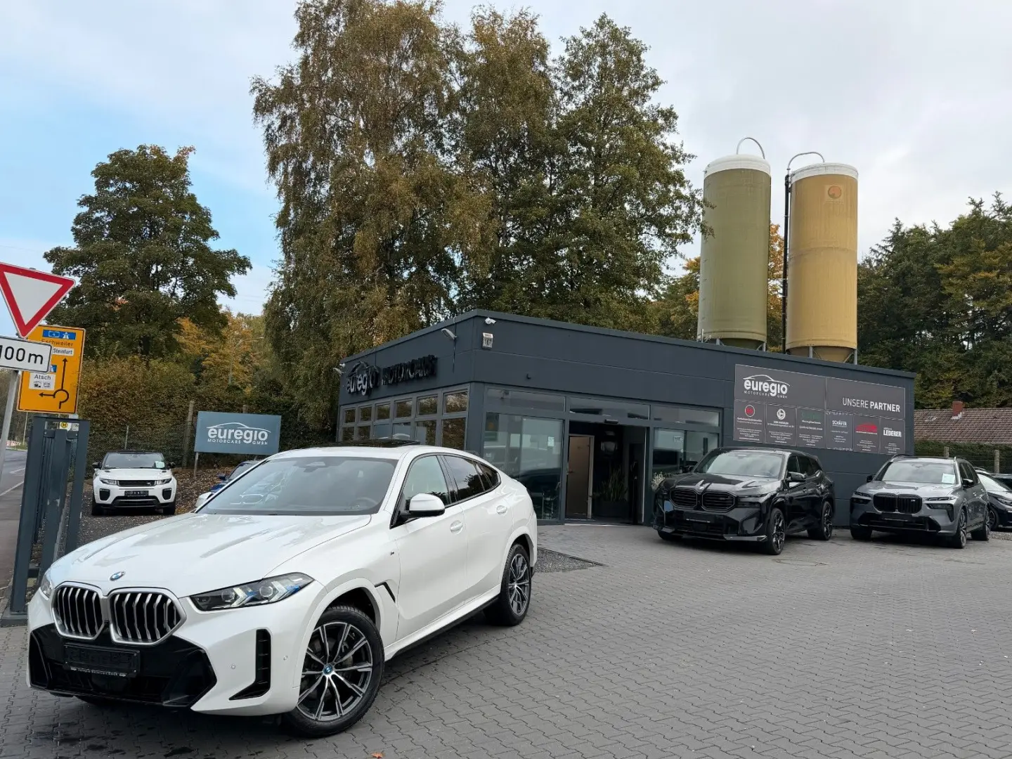 X6 30 d xDrive Head Up - Panorama -M Sportpaket