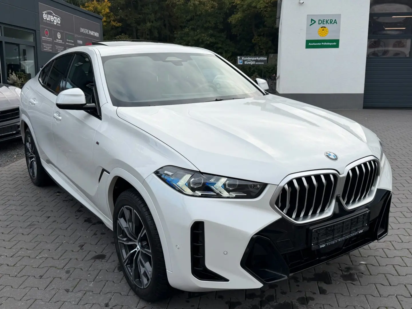X6 30 d xDrive Head Up - Panorama -M Sportpaket