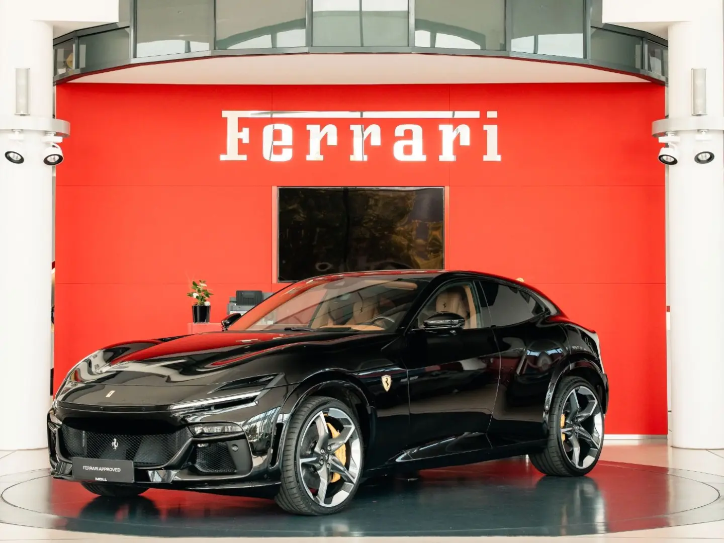 Purosangue High-End-Audio Steinschlagschutzfolie