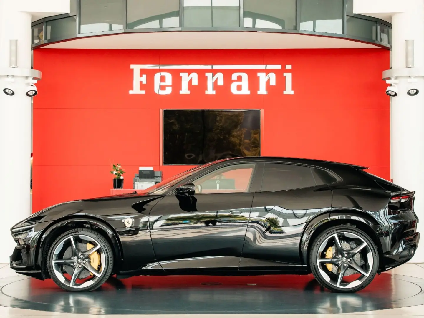 Purosangue High-End-Audio Steinschlagschutzfolie