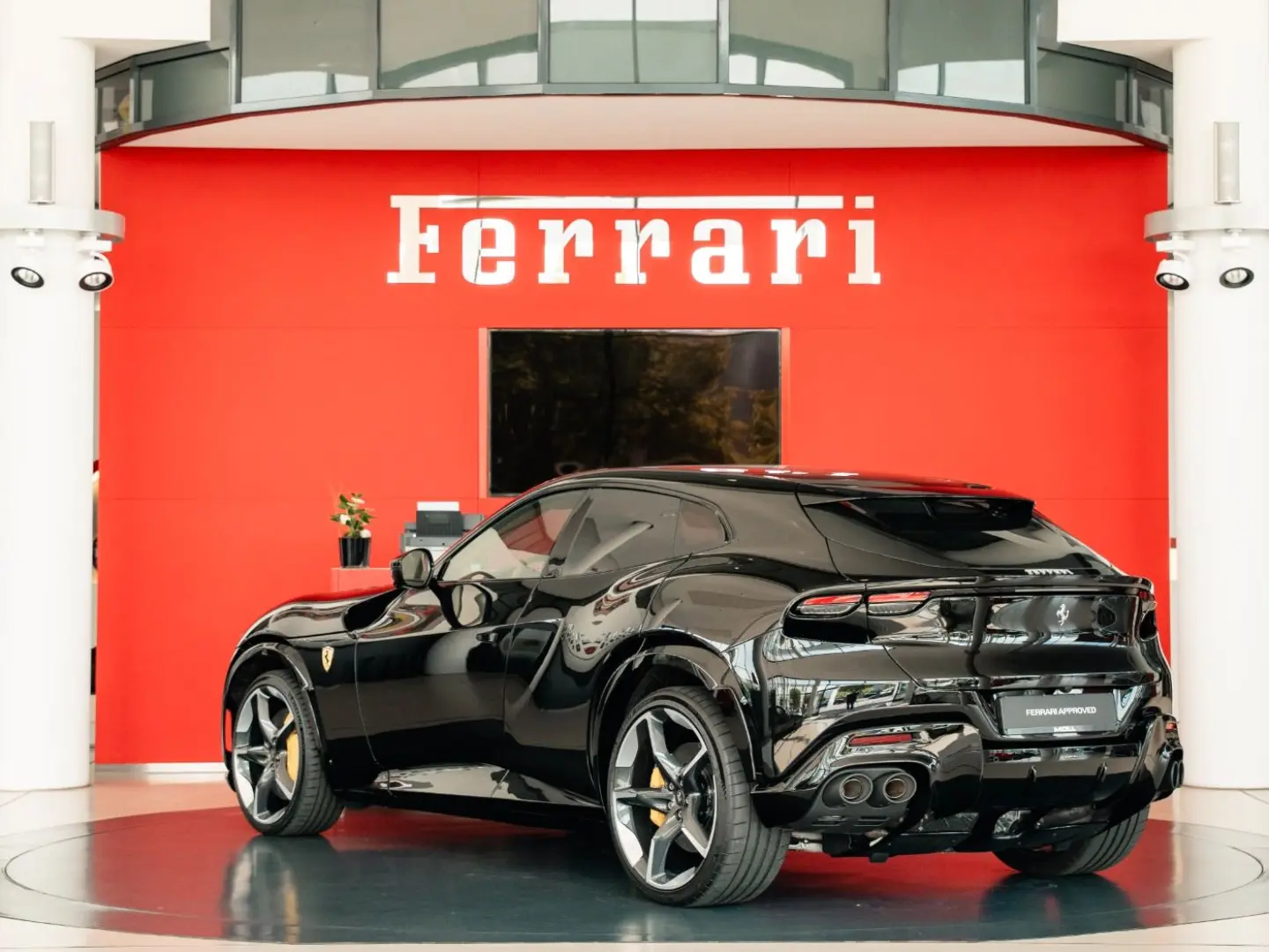 Purosangue High-End-Audio Steinschlagschutzfolie