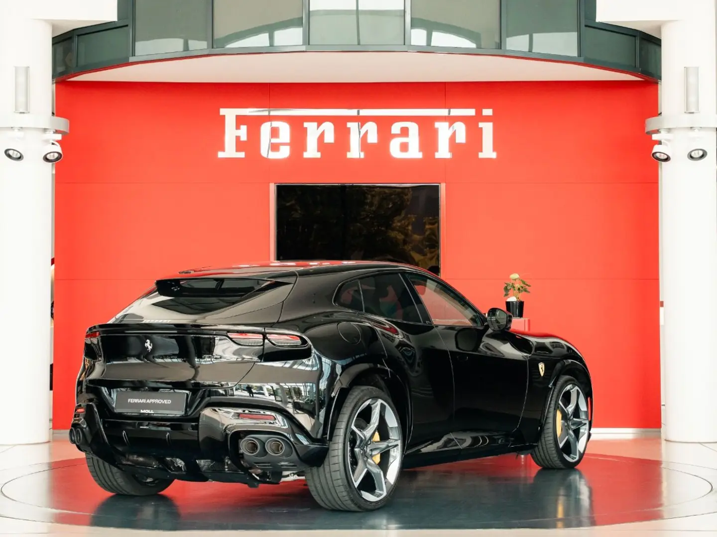 Purosangue High-End-Audio Steinschlagschutzfolie