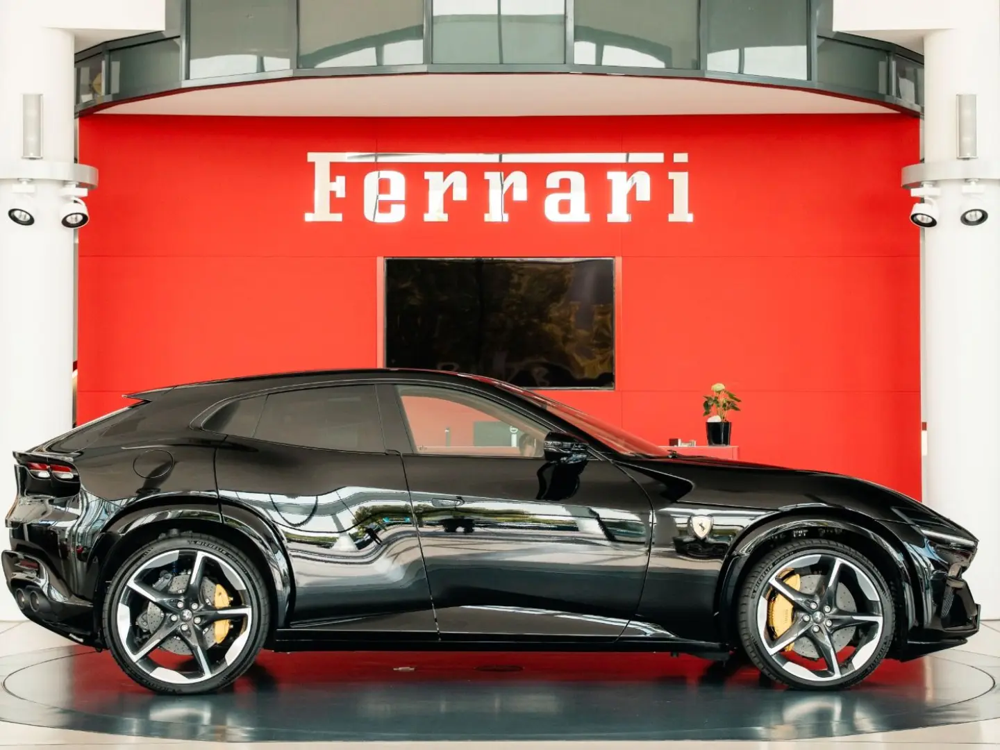 Purosangue High-End-Audio Steinschlagschutzfolie