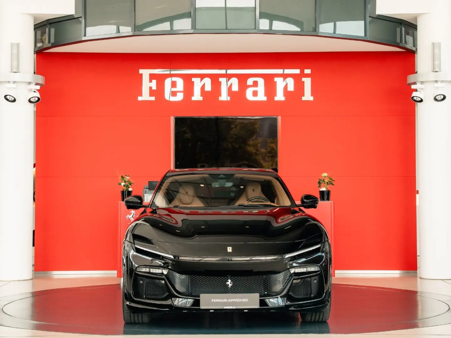 Purosangue High-End-Audio Steinschlagschutzfolie