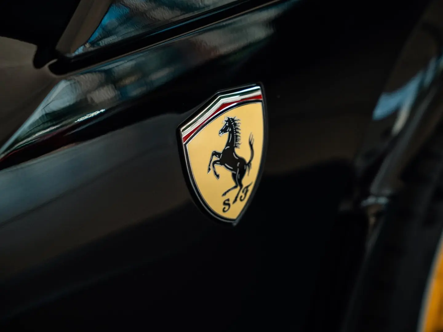 Purosangue High-End-Audio Steinschlagschutzfolie