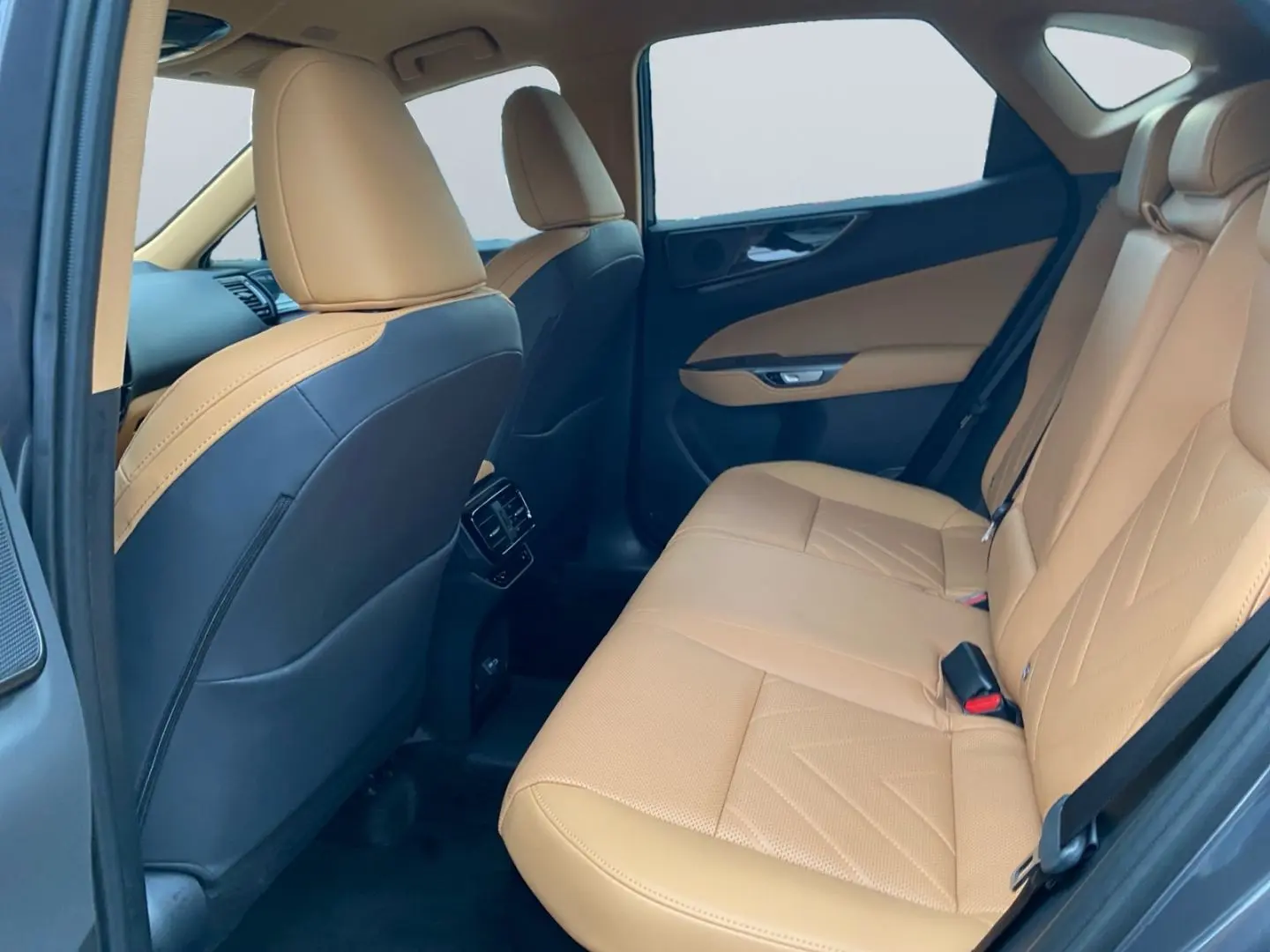 LEXUS NX 450h  E-FOUR Business