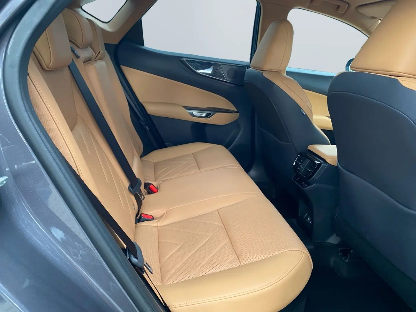 LEXUS NX 450h  E-FOUR Business