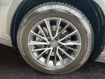 LEXUS NX 450h  E-FOUR Business