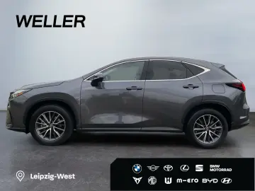 NX 350h Executive Line  Bi-LED 360  ACC el Heck