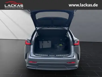 NX 450 h  Luxury LED 360 ML Pan orama 4x4 Allwet