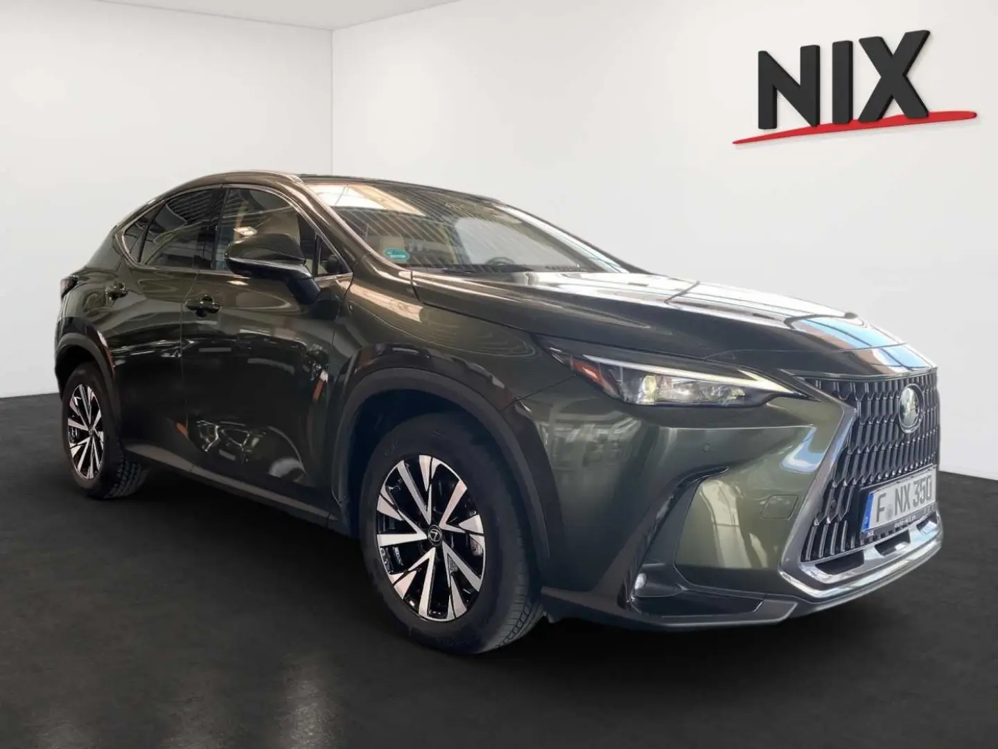 NX 350h Executive Line   Technik   Pano