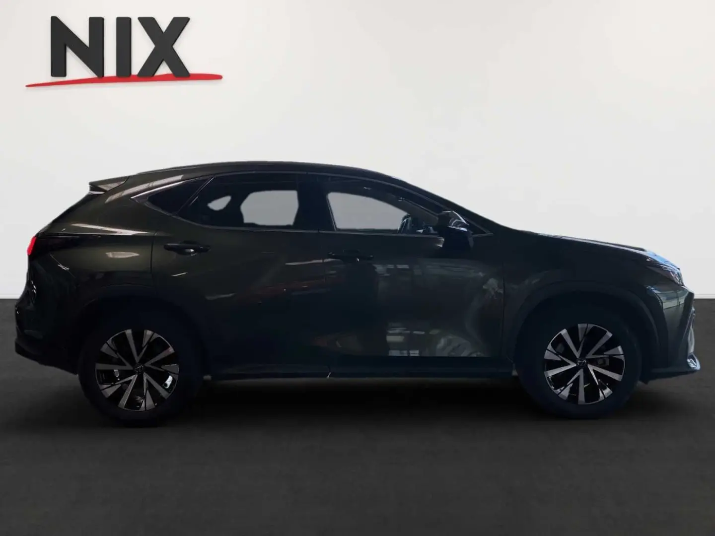 NX 350h Executive Line   Technik   Pano