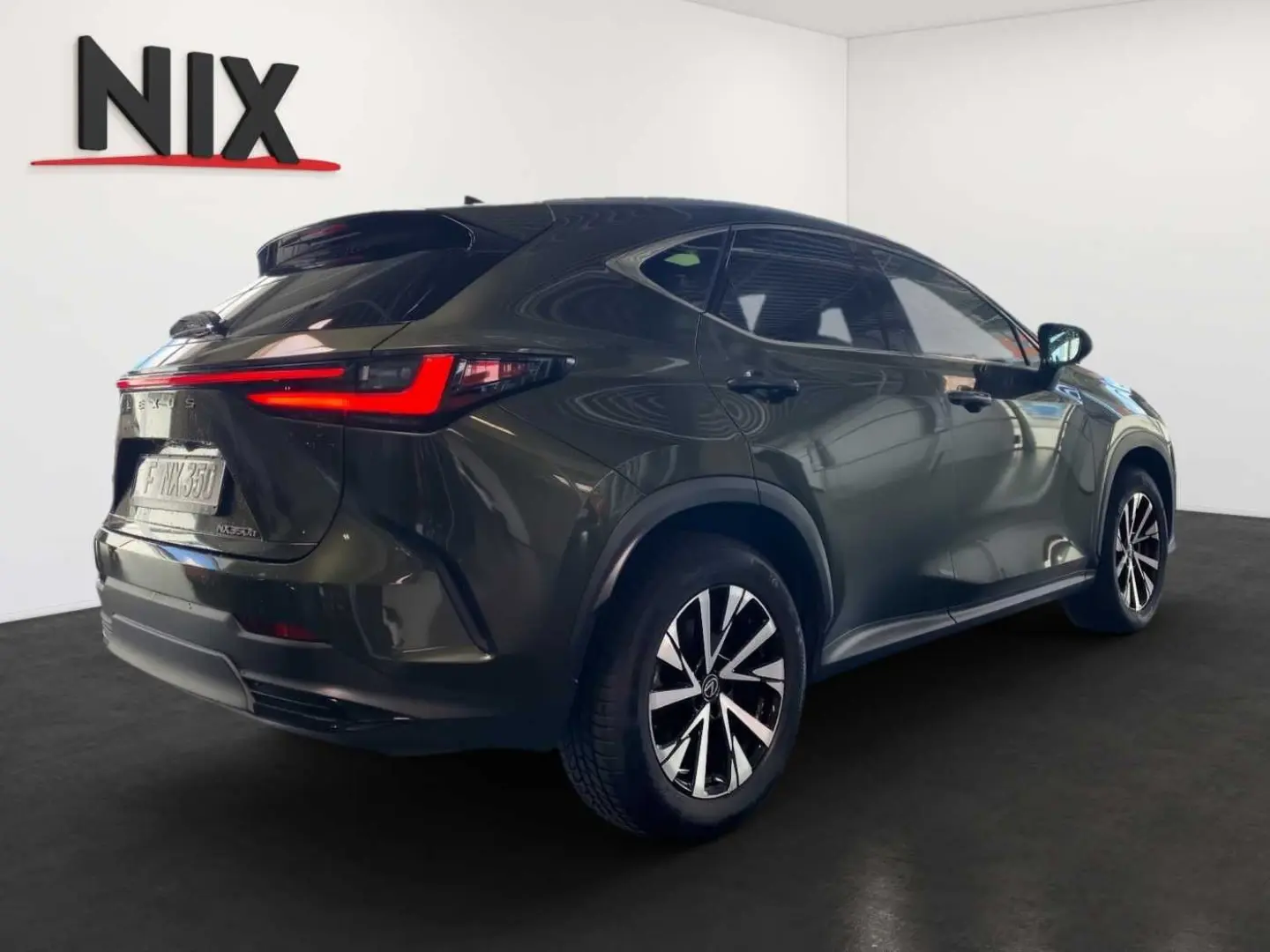 NX 350h Executive Line   Technik   Pano