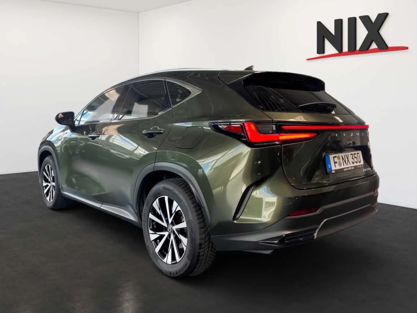 NX 350h Executive Line   Technik   Pano