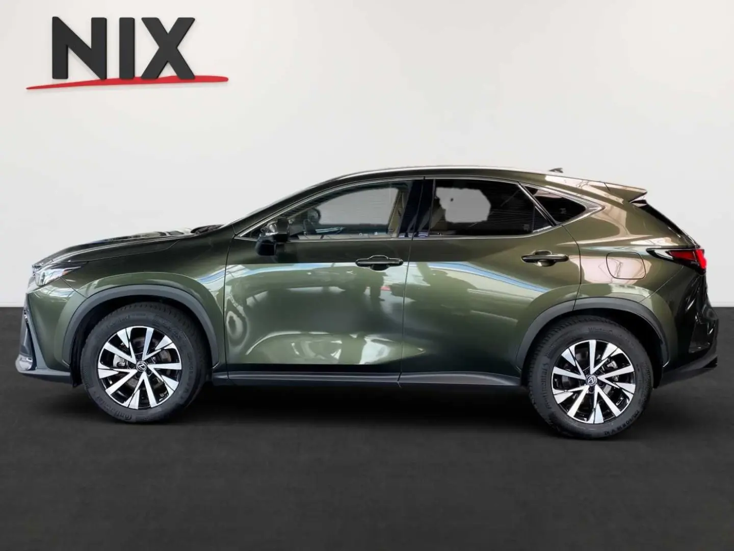 NX 350h Executive Line   Technik   Pano