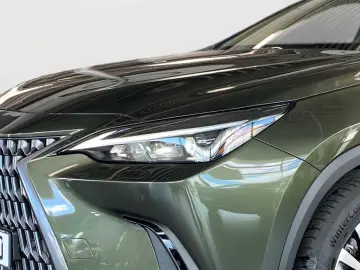 NX 350h Executive Line   Technik   Pano