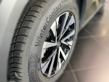 NX 350h Executive Line   Technik   Pano