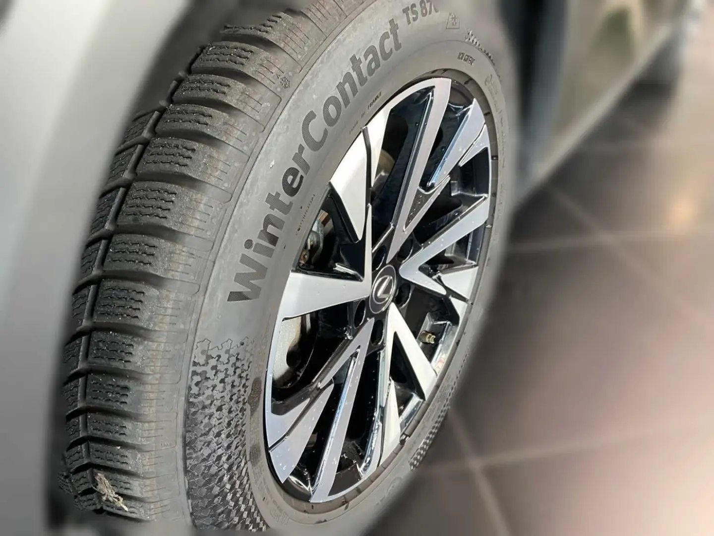 NX 350h Executive Line   Technik   Pano