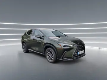 NX 350h Business Line Connect Paket VFW