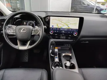 NX 350h Business Line Connect Paket VFW