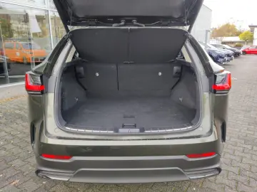 NX 350h Business Line Connect Paket VFW