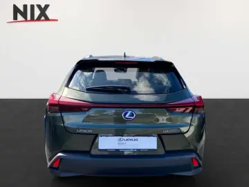 UX 250h 2.0 Hybrid Luxury Ventilation 360 HUD