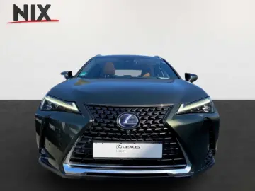 UX 250h 2.0 Hybrid Luxury Ventilation 360 HUD