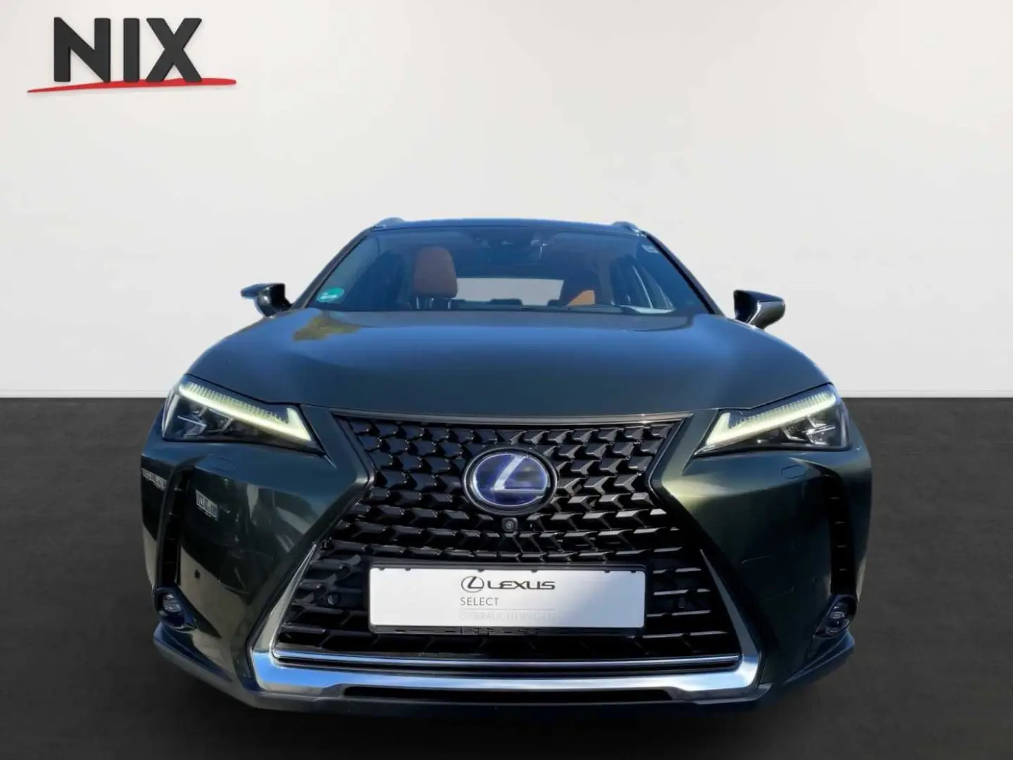 UX 250h 2.0 Hybrid Luxury Ventilation 360 HUD