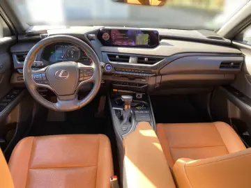 UX 250h 2.0 Hybrid Luxury Ventilation 360 HUD