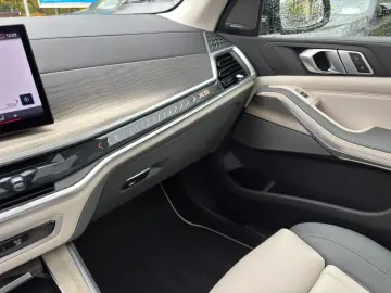 X5 xDrive40i AHK M Sport Pro Standheizung Iconic