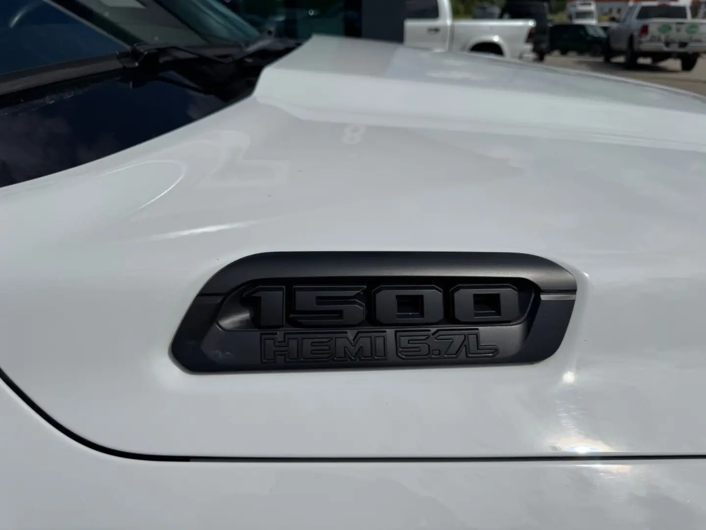 RAM 1500 Gen.5 CrewCab BackCountry Pano U-frei