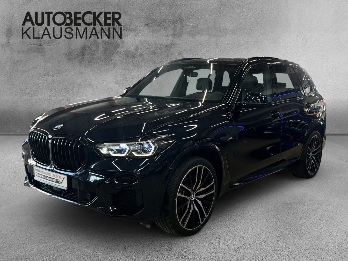 X5 xDRIVE30d M SPORT LC PROF HuD AHK KAMERA 360