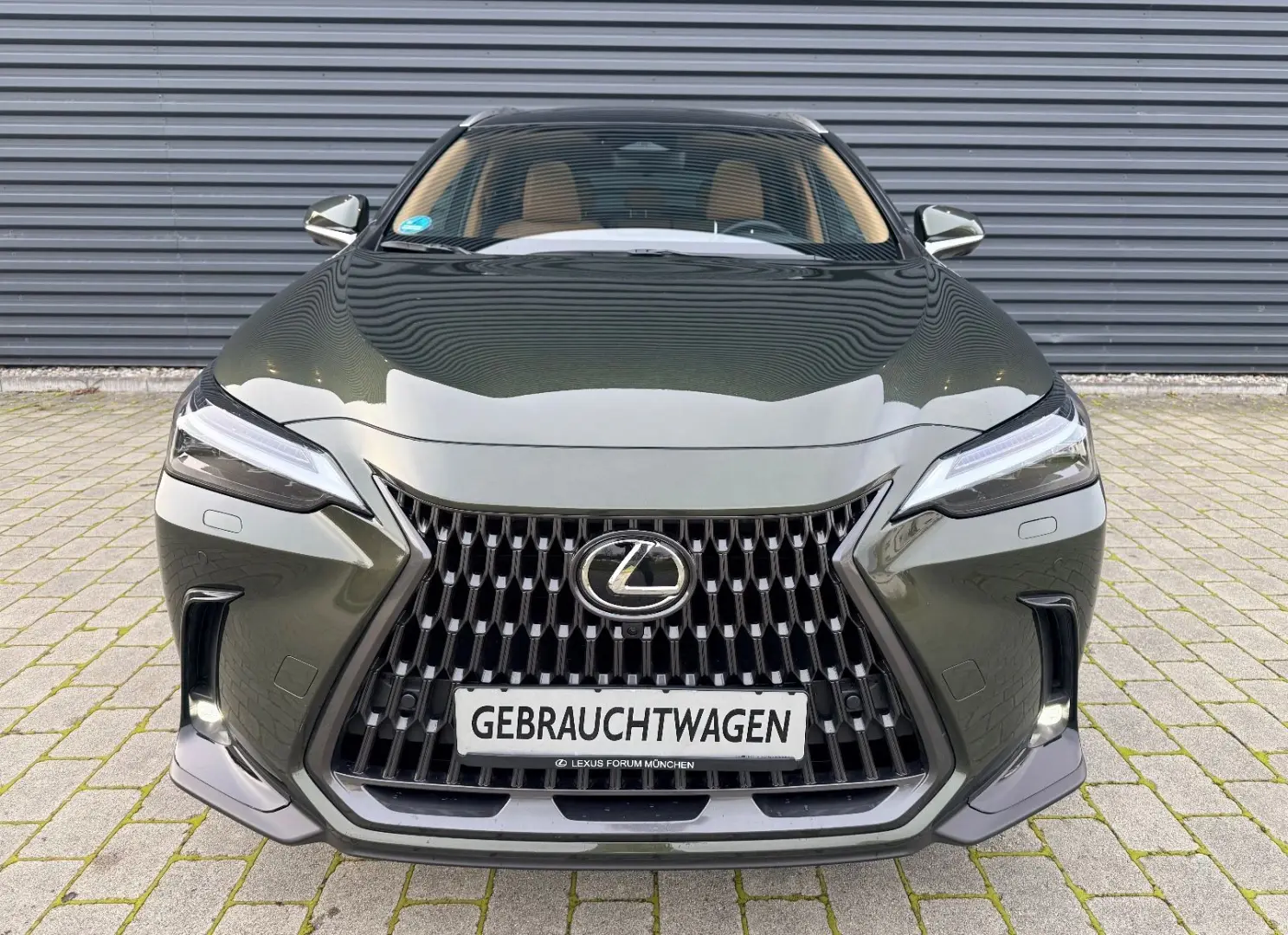 NX 350h Luxury Line (E-Four) Leder Navi LED