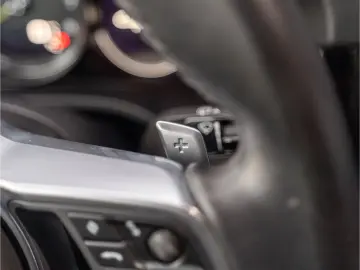 Cayenne E-Hybrid 1.Hd. MwSt. ausweisbar