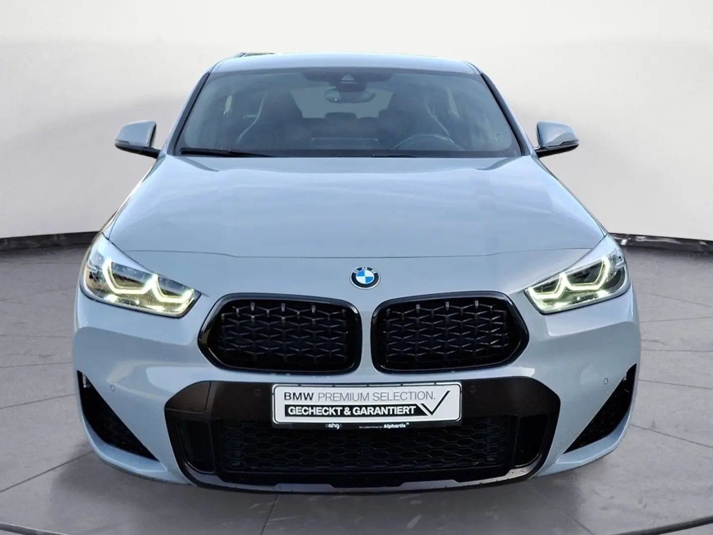 X2 sDrive20i Edition M Mesh Navi AHK RFK Head-Up