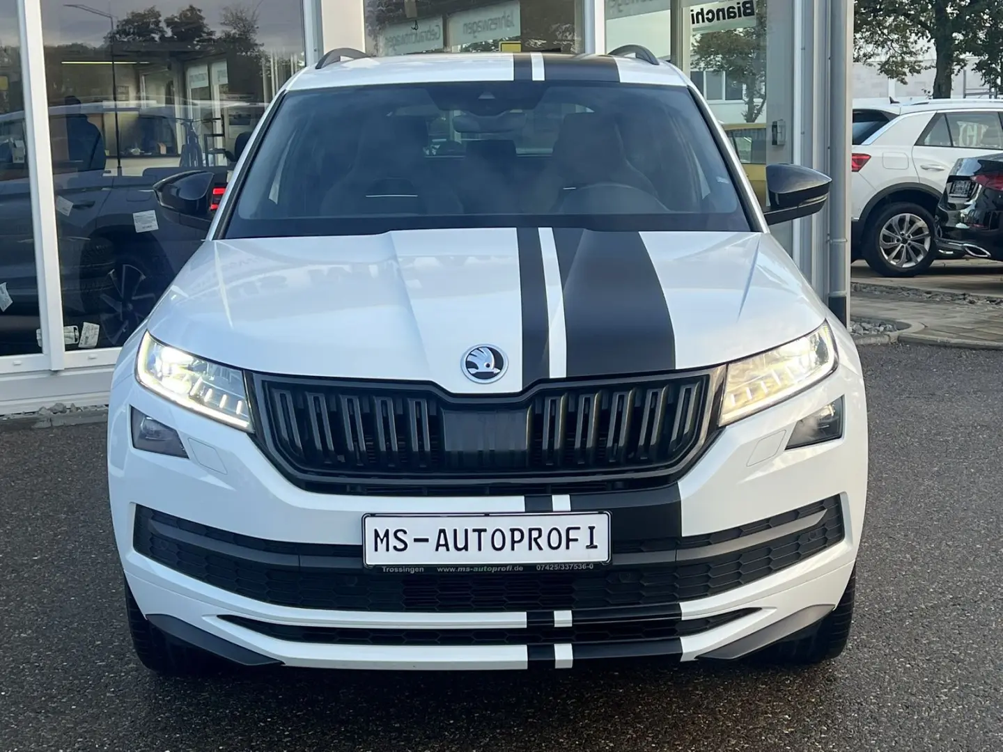 Kodiaq 2.0 TSI DSG Sportline 4x4 Kessy AHK Kamer