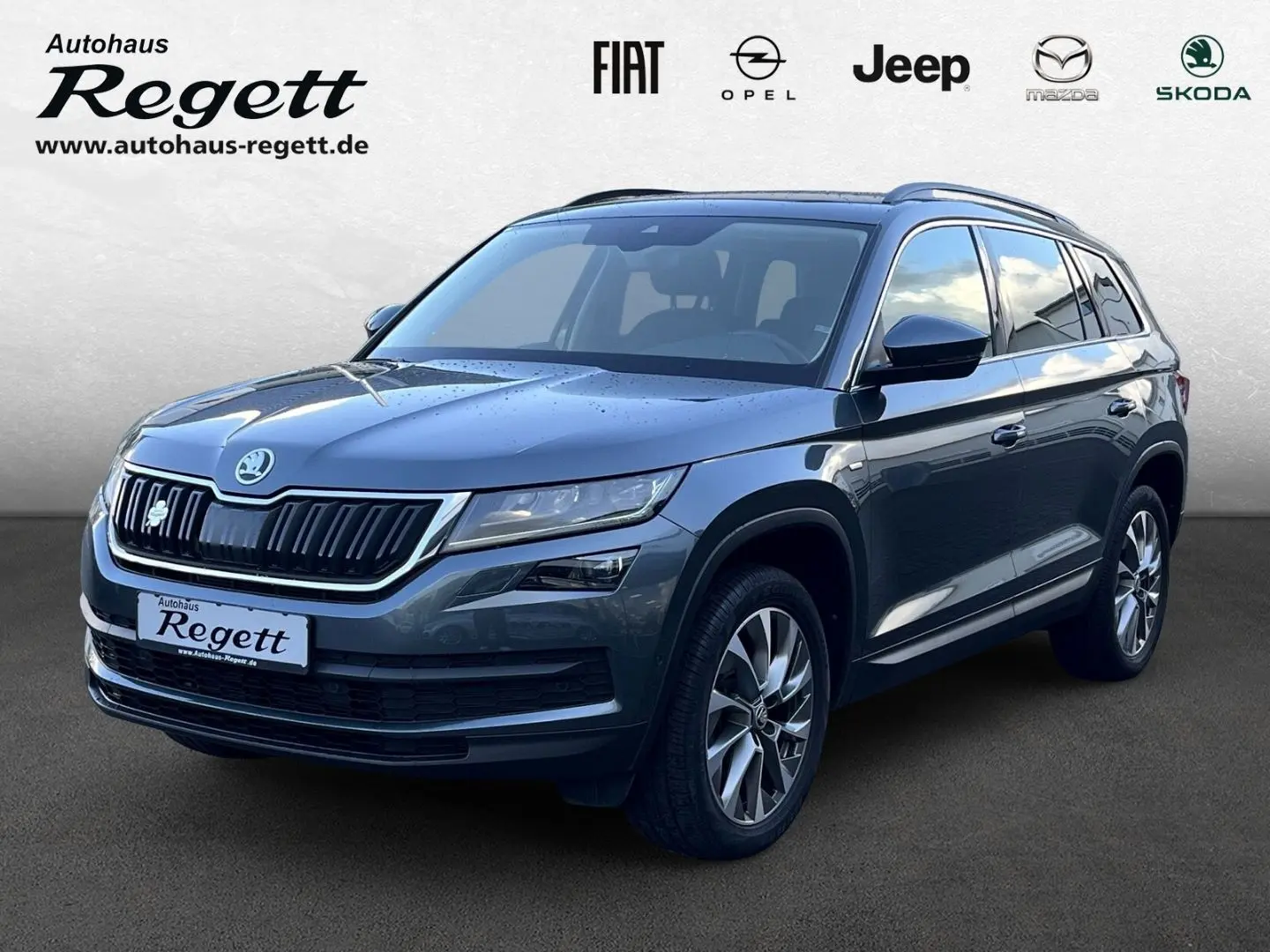 Kodiaq Clever AHK Navi LED Kurvenlicht Sperrdiff