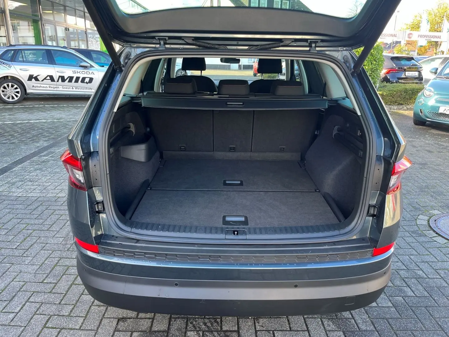 Kodiaq Clever AHK Navi LED Kurvenlicht Sperrdiff