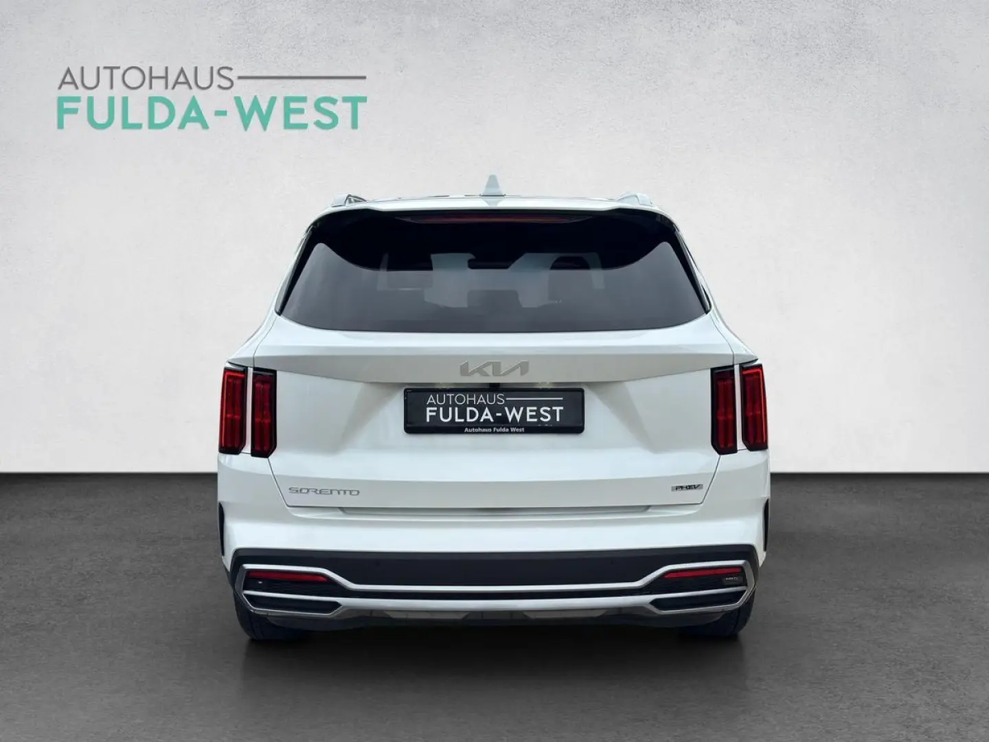 Sorento 1.6T-GDI Hybrid Platinum 4WD Leder 360