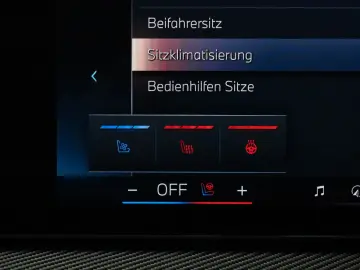 X6 40D xDrive M Sport Pro SKY-LGN 22  VOLL 360