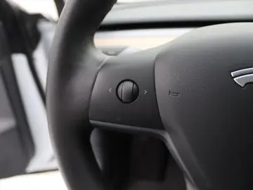 Model 3 Standard RWD Plus [ AUTOPILOT 60 kWh PRE