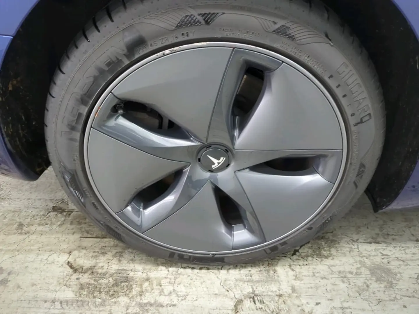 Model 3 Standard Plus RWD