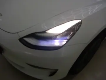 Model 3 Standard RWD Plus [ AUTOPILOT 60 kWh PRE