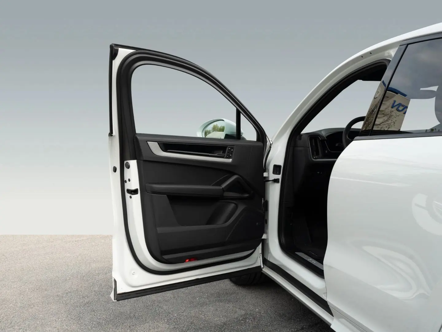 Cayenne E-Hybrid Coupe InnoDrive Surround View