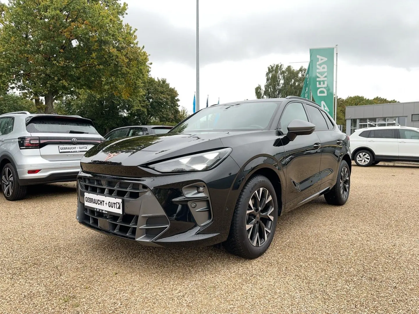 Terramar 1.5 eTSI DSG Navi LED HuD el.HK 360 Kam