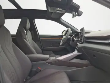 Terramar VZ 1.5 e-Hybrid DSG  SENNHEIS LEDER MAT