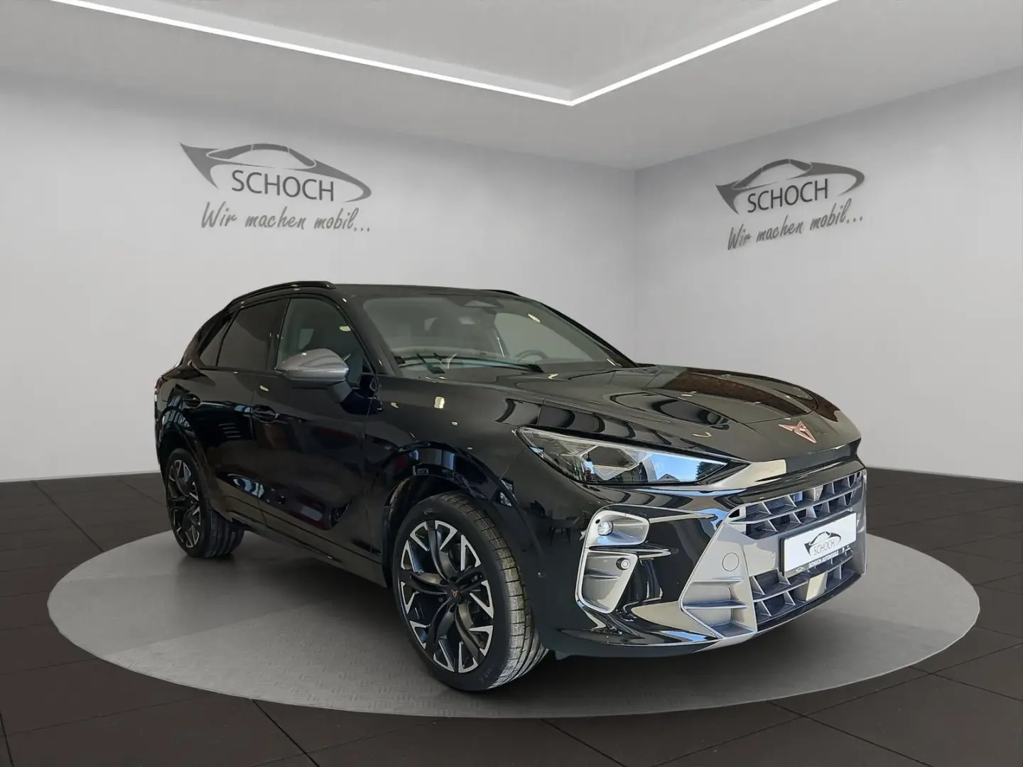 Terramar 2.0 TSI DSG VZ 4Drive 20 Zoll 360 Grad