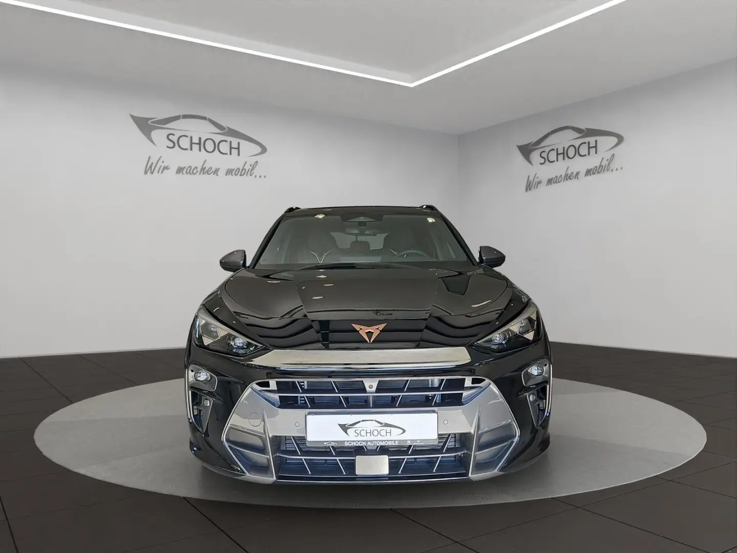 Terramar 2.0 TSI DSG VZ 4Drive 20 Zoll 360 Grad