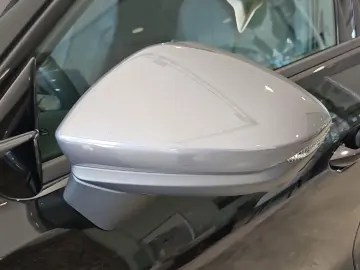 Terramar 2.0 TSI DSG VZ 4Drive 20 Zoll 360 Grad